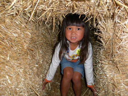 Kasen coming out of the hay tunnel